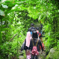 Wanawisata Canopy Trail dan Curug Cibeureum di kaki Gunung Gede Pangrango